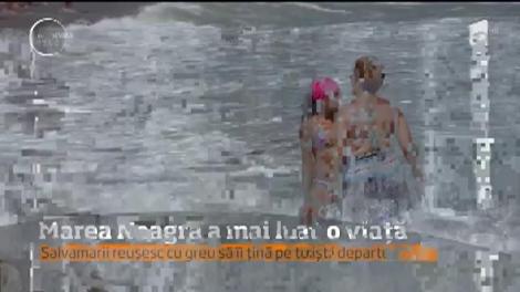 Au venit pe litoral ca să intre în mare, aşa că niciun steag roşu nu îi va împiedica să facă asta!