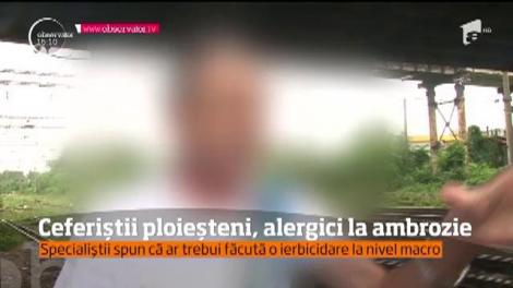 Zeci de angajaţi ai Gării de Sud din Ploieşti suferă an de an din cauza ambroziei!