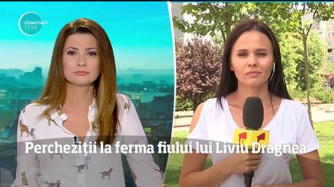 Ferma de porci din comuna Salcia a fiului lui Liviu Dragnea a fost luată cu asalt de către mascaţi!