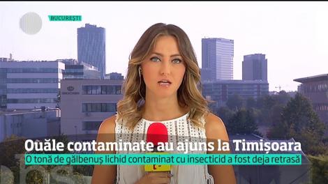 Ouăle contaminate au ajuns şi în România