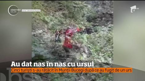 Cinci turişti care s-au speriat de un urs au rămas blocaţi pe nişte stânci în Munţii Bucegi