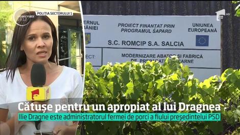 Administratorul fermei de porci controlate de fiul lui Liviu Dragnea a fost reţinut