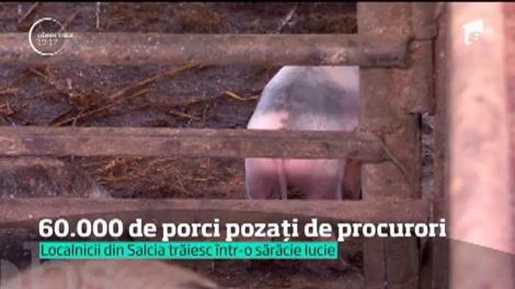 Liviu Ilie Dragne, proprietarul fermei de la Salcia, Teleorman, este din nou liber