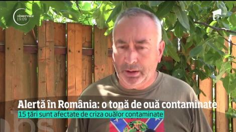 Într-un depozit din Timişoara a fost descoperită o tonă de gălbenuş de ou contaminat