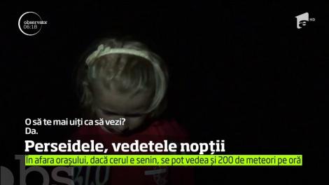 Mii de români au stat cu ochii pe cer ca să vadă roiul Perseidelor