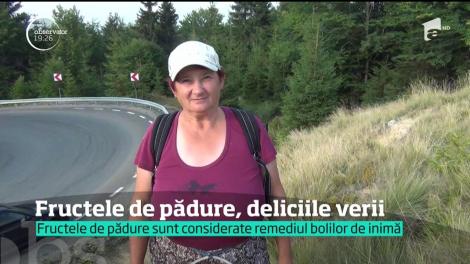 Fructele de pădure, deliciile verii