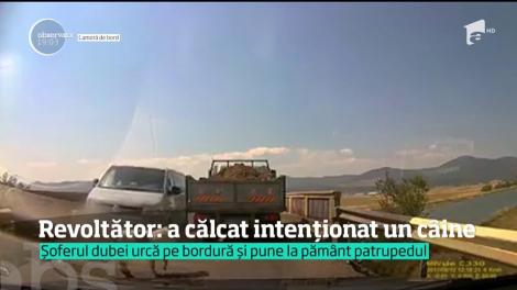 IMAGINI REVOLTĂTOARE! Şoferul unei dube a călcat, intenţionat, un câine. A urcat cu mașina pe trotuar şi l-a pus la pâmânt  pe bietul animal