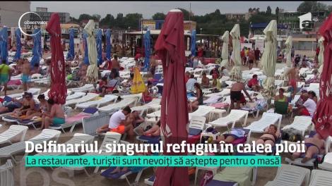 Delfinariul, singurul refugiu în calea ploii pentru turişii de pe litoral