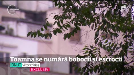 Preţurile chiriilor au explodat inexplicabil în aşteptarea studenţilor