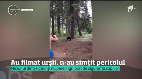 Urşii au coborât printre turişti, în zona lacului Sfânta Ana. Un copil s-a apropiat periculos de animal, pentru o fotografie