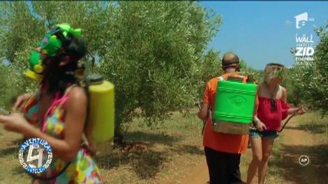 Gina Pistol și Margherita de la Clejani, distrugătoarele de insecte! ”Ziceai că eram posedată...”