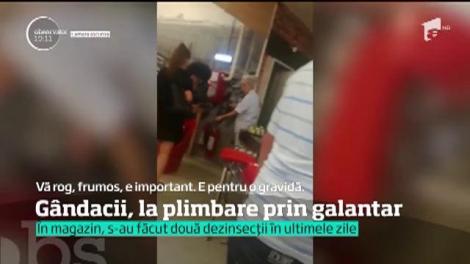 Colcăie gândacii pe friptura vândută într-un hipermarket din Bucureşti! Un client a filmat scenele dezgustătoare