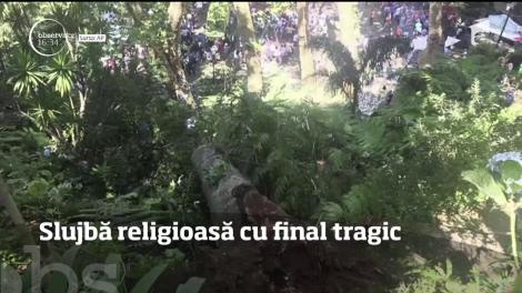 Slujbă religioasă cu final tragic. Un copac a căzut peste un grup de pelerini