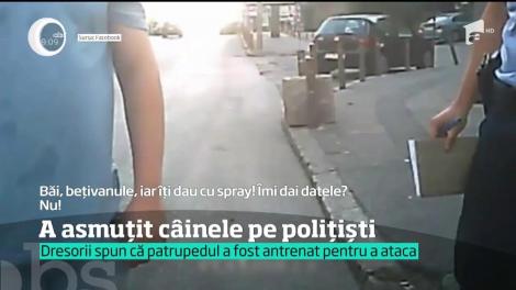 Un bărbat din Bucureşti şi-a asmuţit rottweilerul pe poliţişti. Câinele a sărit la piciorul unui agent