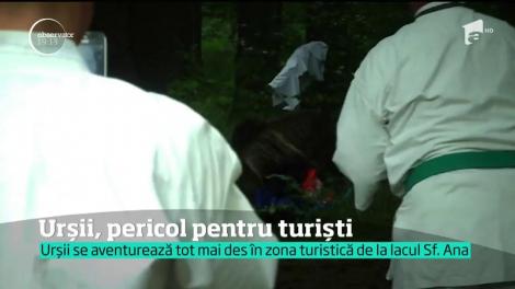 A fost iarăşi întâlnire de gradul zero între turiştii de la lacul Sfânta Ana şi urşi