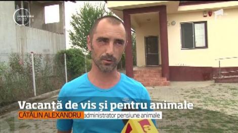 Nu te gândi doar la tine când vine vorba despre relaxare! Şi animalele pot avea o vacanţă de vis