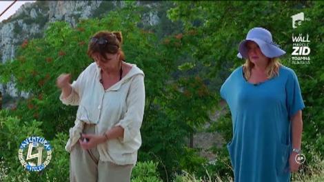 O nouă probă pentru vedete! Cristina Țopescu, Adriana Trandafir, Carmen Tănase și  Nea Mărin au avut de descifrat un puzzle!