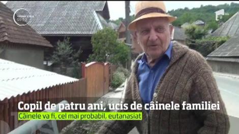 Cazul Ionuț la indigo! Un copil de patru ani şi jumătate a fost sfâşiat de câinele familiei, în Maramureş