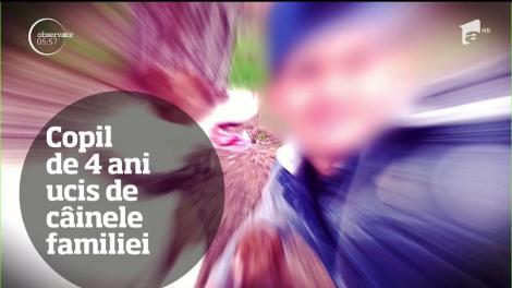 Observator TV 23/08/2017 - Ştirile zilei într-un minut