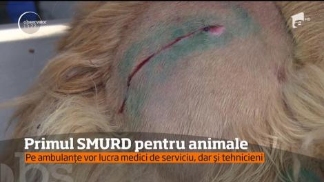 Serviciu de urgenţă pentru animale!  E ideea pusă în practică de câţiva medici veterinari din Cluj