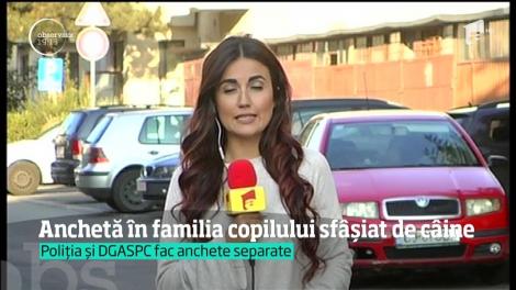 Se caută vinovaţii pentru moartea copilului de patru ani, sfâşiat de un câine de luptă