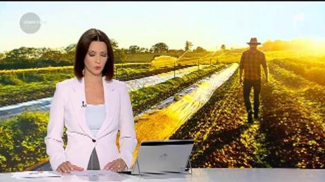 Dumnezeu ne dă, dar nu ne bagă şi în traistă. Avem producţie-record de legume româneşti, însă riscăm să aruncăm totul la gunoi