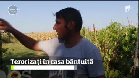 O familie din Giurgiu este terorizată în propria casă