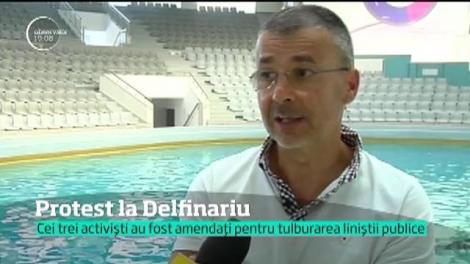 Scandal la delfinariul din Constanţa! Trei activişti au sărit în bazin cu tot cu pancartele prin care luptau pentru închiderea unor astfel de spctacole