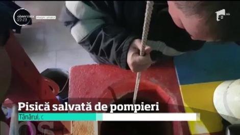 Un pompier din Oraviţa a salvat o pisicuţă blocată într-o fântână