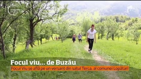 #100 de zile de vară. Focul viu... de Buzău