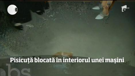 Operaţiune de salvare impresionantă în China, după ce o pisicuță a fost blocată în interiorul unei mașini