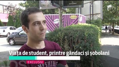 Studenţii Capitalei, umilinţe grele în cămine murdare, pline de şobolani şi igrasie