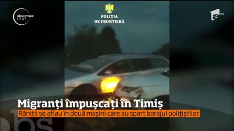 S-au tras focuri de armă la ieşirea din localitatea Denta din judeţul Timiş!