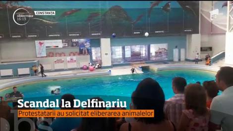 Activiştii de la Delfinariul din Constanţa au îmbolnăvit mamiferele, susţine conducerea instituţiei