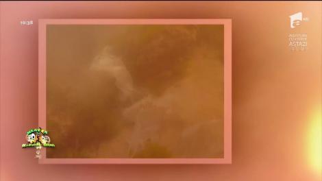 Este romantic, dar extrem de nociv! Cum afectează lampioanele mediul înconjurător: "Acolo își găsesc sfârșitul"