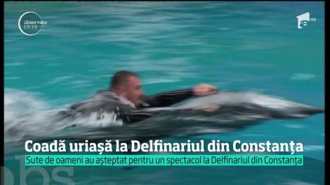 Coadă uriașă la Delfinariul din Constanța