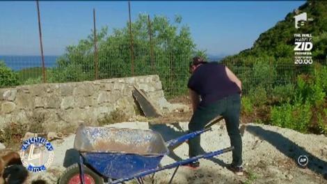 ”M-au făcut stilist de palmieri!” Vedete puse la munca de jos, în Grecia