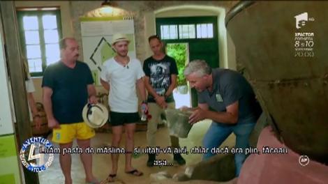 În vizită la o fabrică de ulei de măsline, veche de aproape un secol. Vedetele sunt încântate