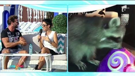 Cât câștigă Adelina Pestrițu din mediul online: ”Am ajuns în punctul în care pot să mă întrețin din aceste câștiguri”