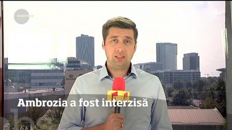 Ambrozia, interzisă prin lege în Capitală! Ce amenzi riscă cei care nu-și curăță terenurile
