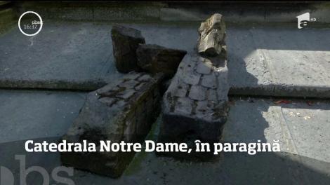 Catedrala Notre Dame are nevoie urgentă de reparaţii! Costurile ar putea ajunge şi până la 100 de milioane de euro