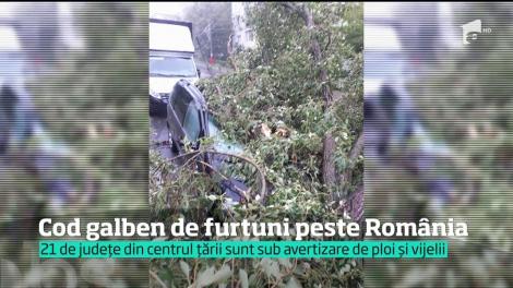 Cod galben de furtuni peste România