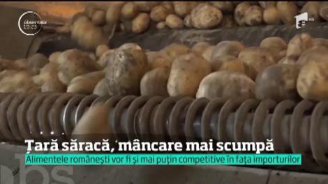 Toamna vine cu scumpiri: scoatem mai mulţi bani din portofel pentru carne, lactate şi băuturi