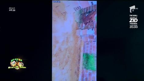 Smiley News. Felina năzdrăvană. Uite așa se salvează o pisică