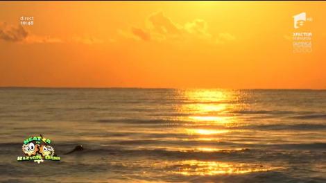 Răzvan cu ghipsul, Oprişan cu mâncarea, Dani cu… domnişoarele! Din culisele celei mai iubite emisiuni. Iată cum își încep matinalii de la Antena 1 dimiNEATZA