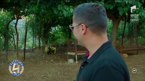 "Aventură cu 4 stele". Daniela Crudu, Augustin Viziru şi Daniel Max Dragomir au muls capre în Grecia