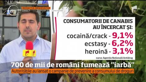Agenţia Naţională Antidrog avertizează: aproape 700 de mii de români fumează "iarbă" în mod frecvent!