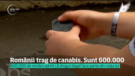 Alarmă! Şase sute de mii de români sunt oficial consumatori de cannabis. Mulţi fumează drogul încă de pe băncile şcolii