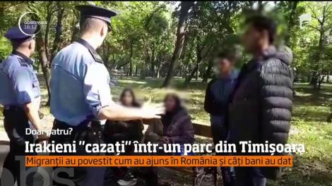 Un parc din Timişoara a devenit culcuş pentru refugiaţii irakieni şi sirieni care ajung în oraşul de pe Bega!