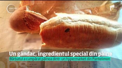 Cină cu gust amar pentru un bucureştean. A cumpărat de la hipermarket o pâine cu gândaci